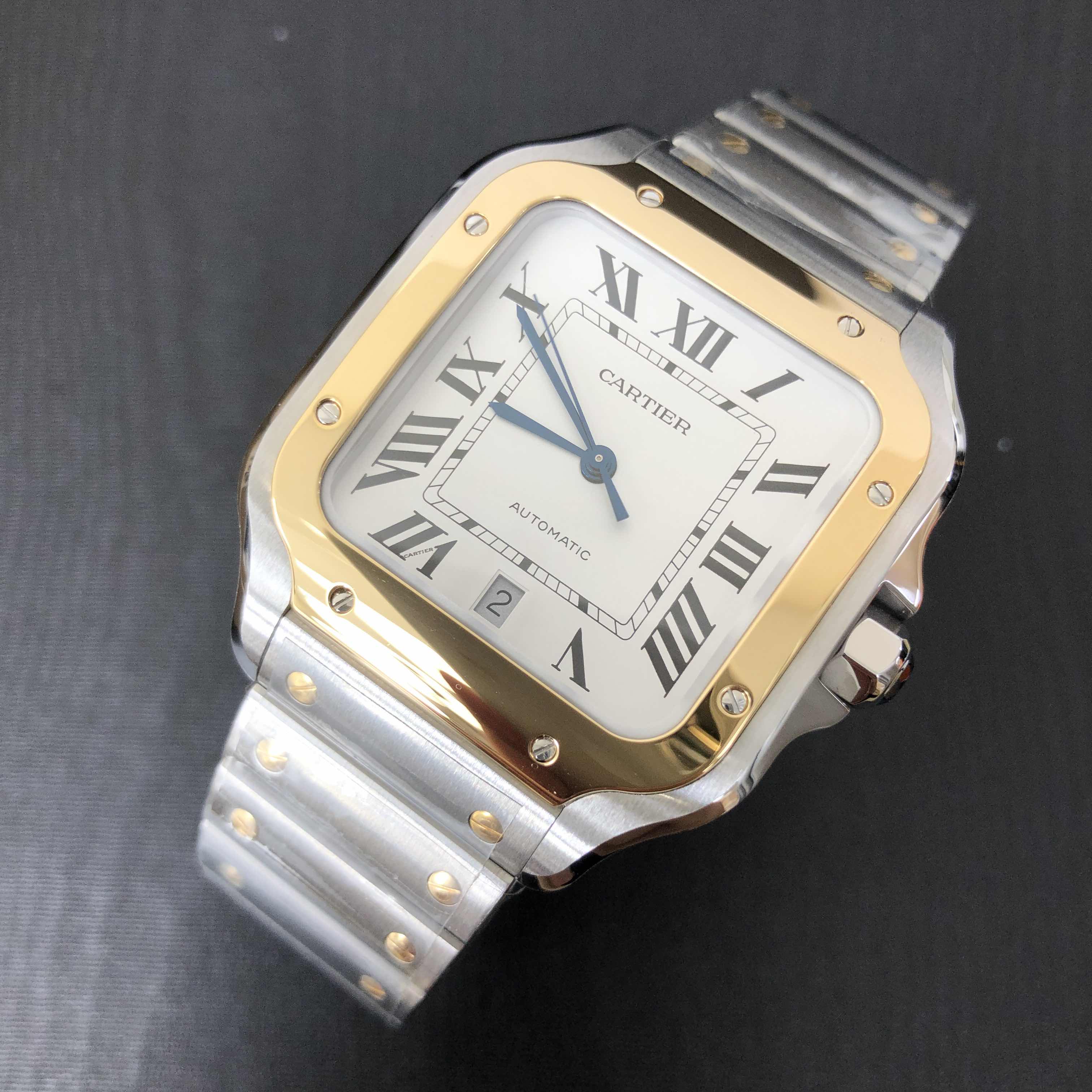 Cartier W2SA0009 6