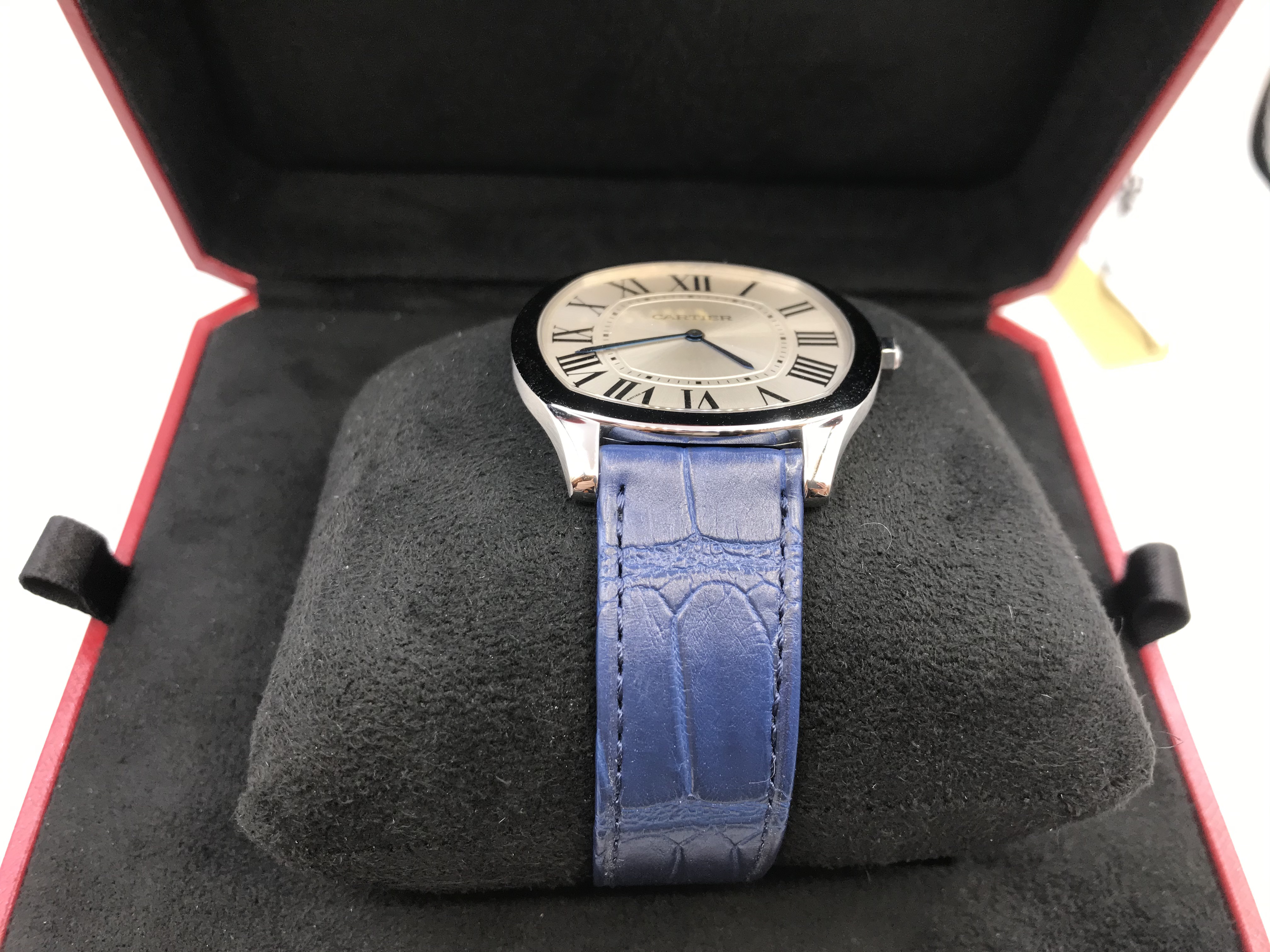 Cartier WSNM0011 7