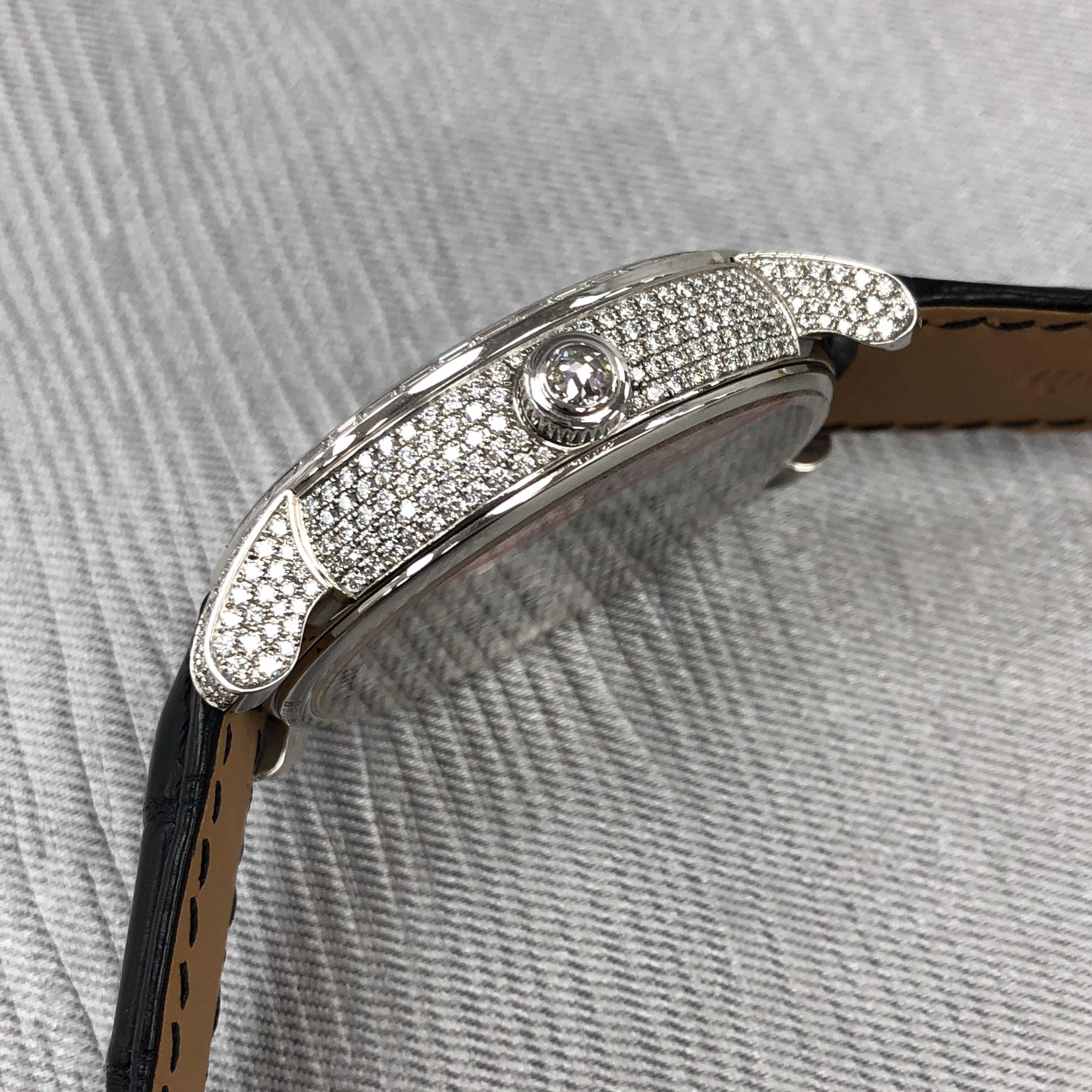 Audemars Piguet AP Unique Piece  7