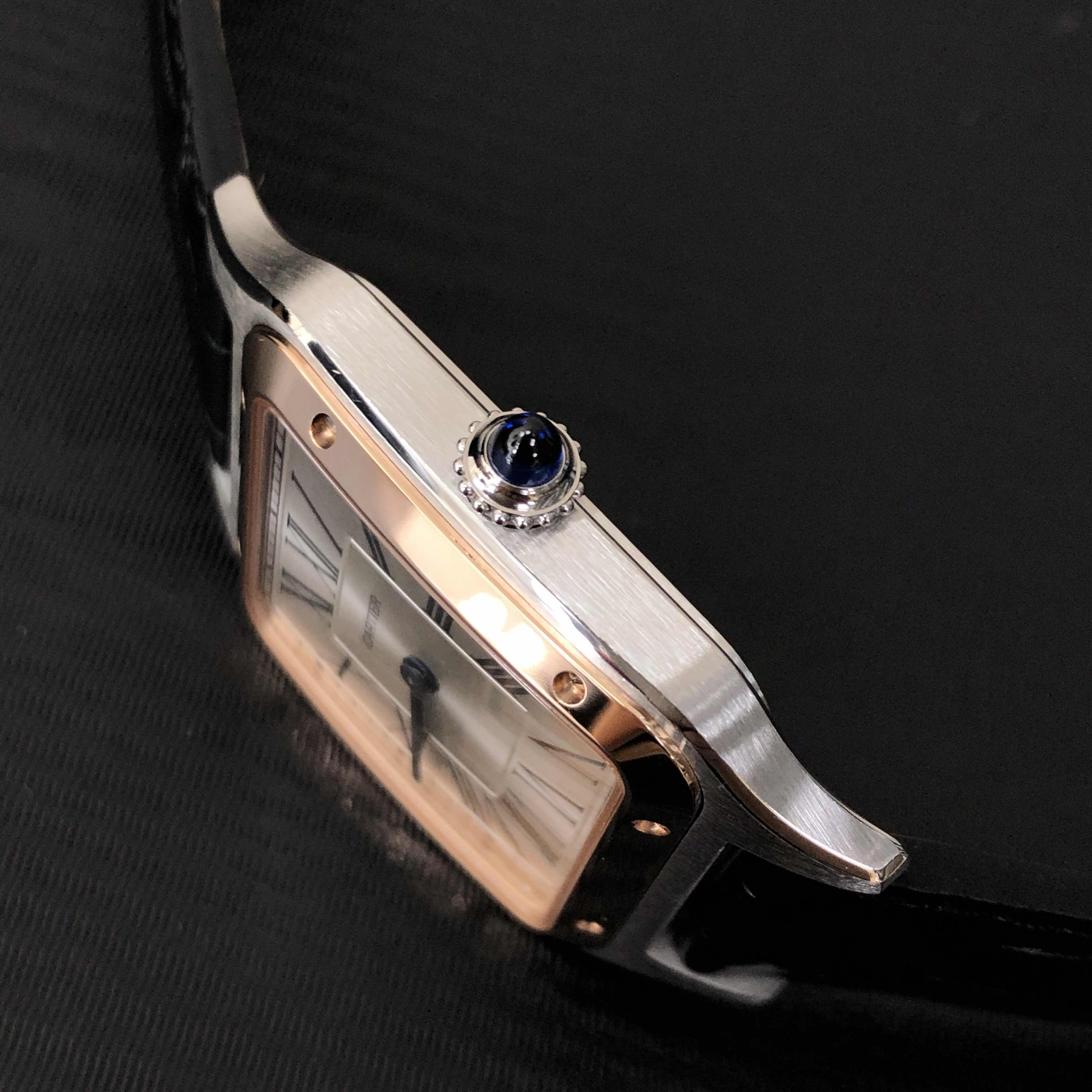 Cartier W2SA0011 7