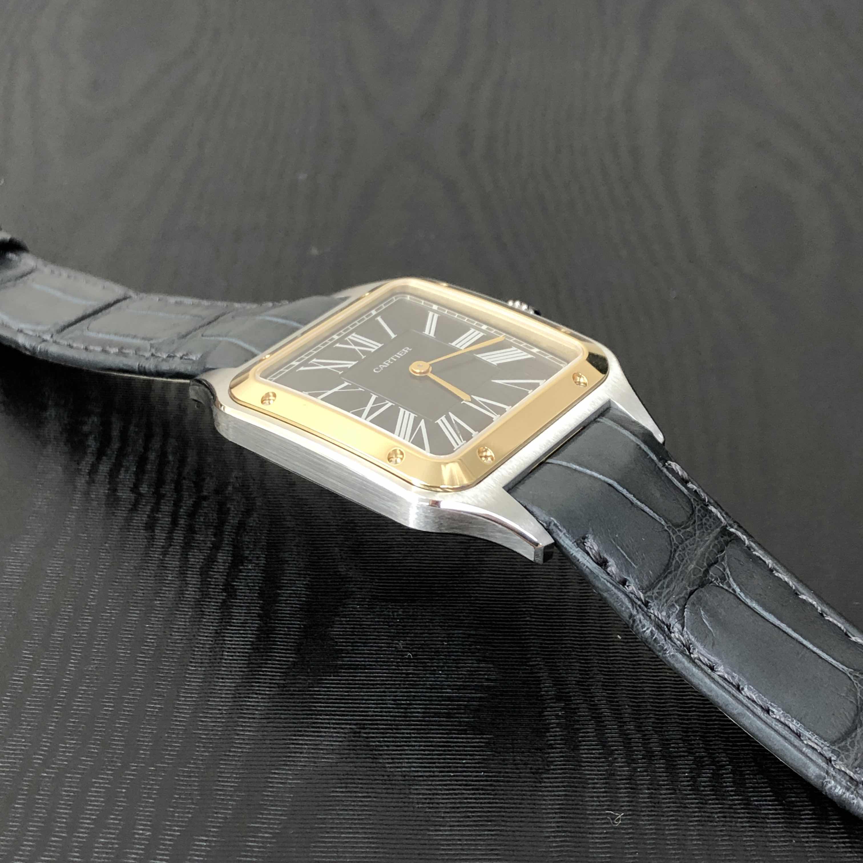 Cartier W2SA0015 7