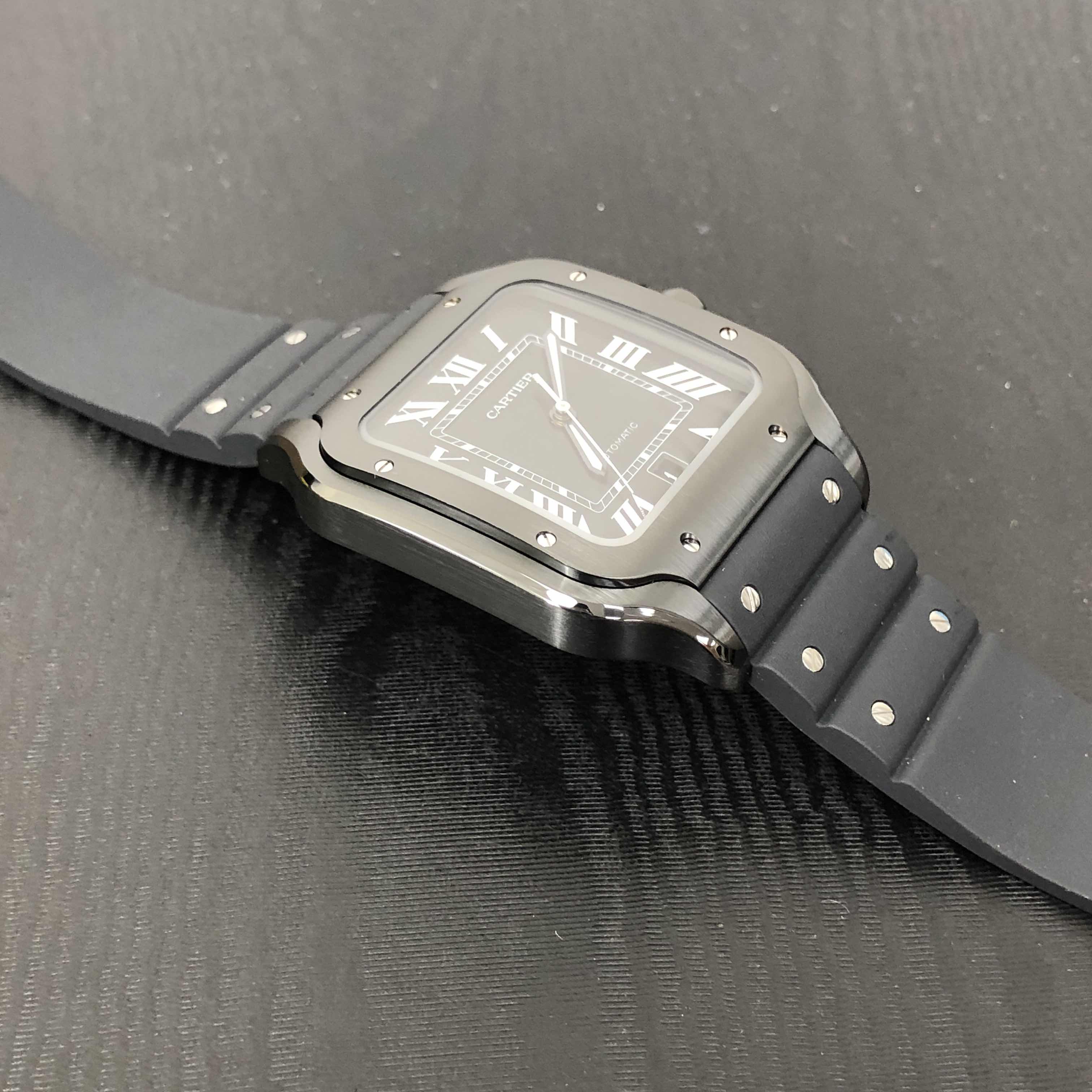 Cartier WSSA0039 7