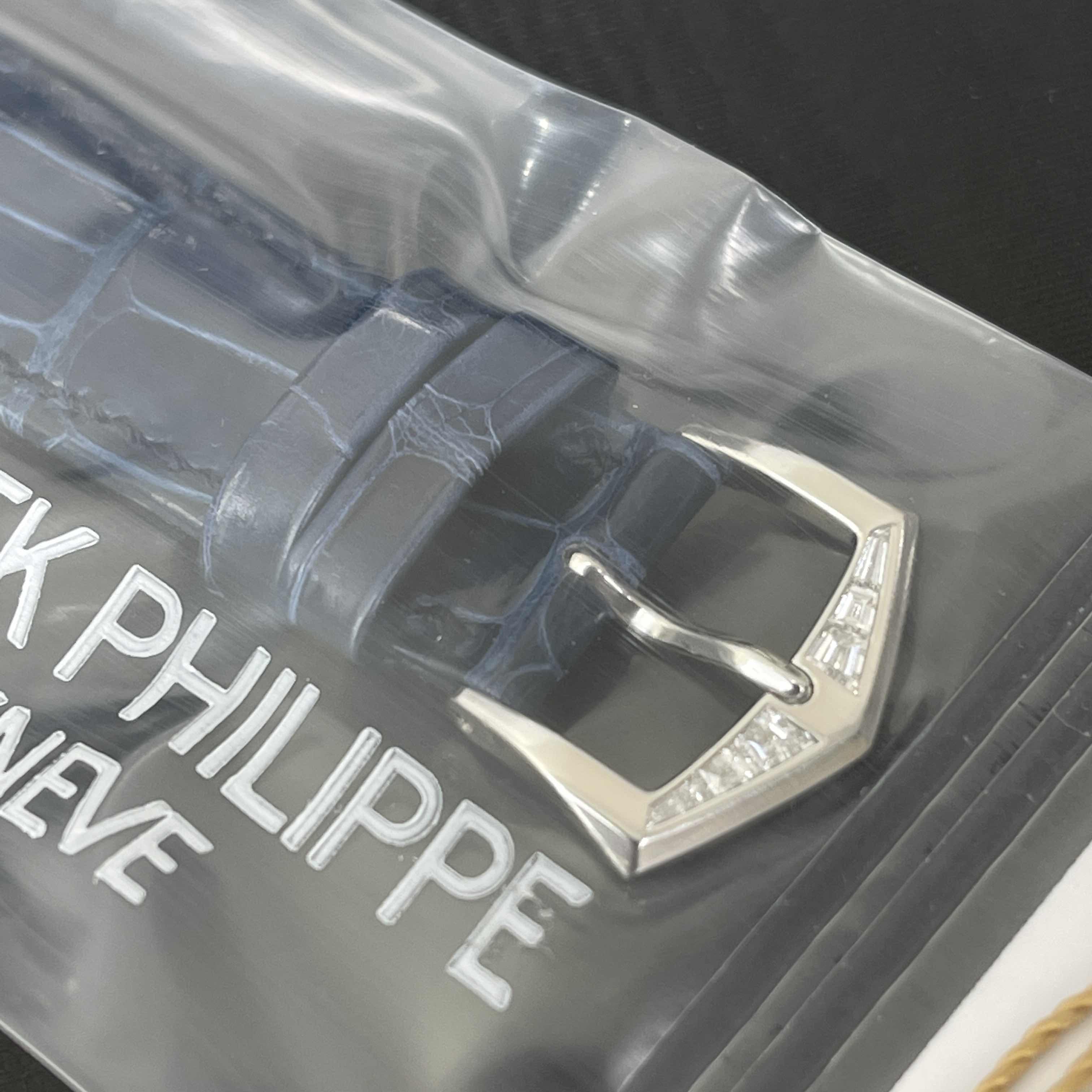 Patek Philippe 5298P-014 7