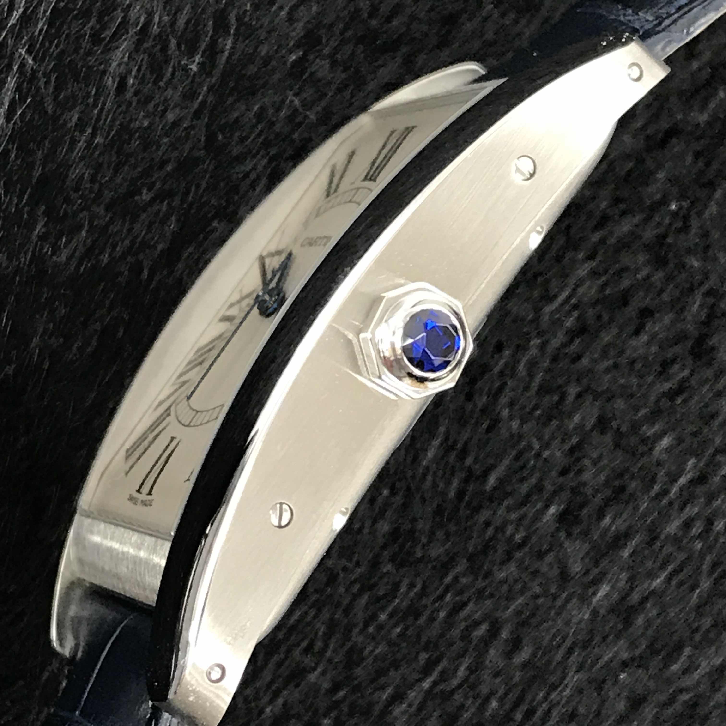Cartier WSTA0018 8