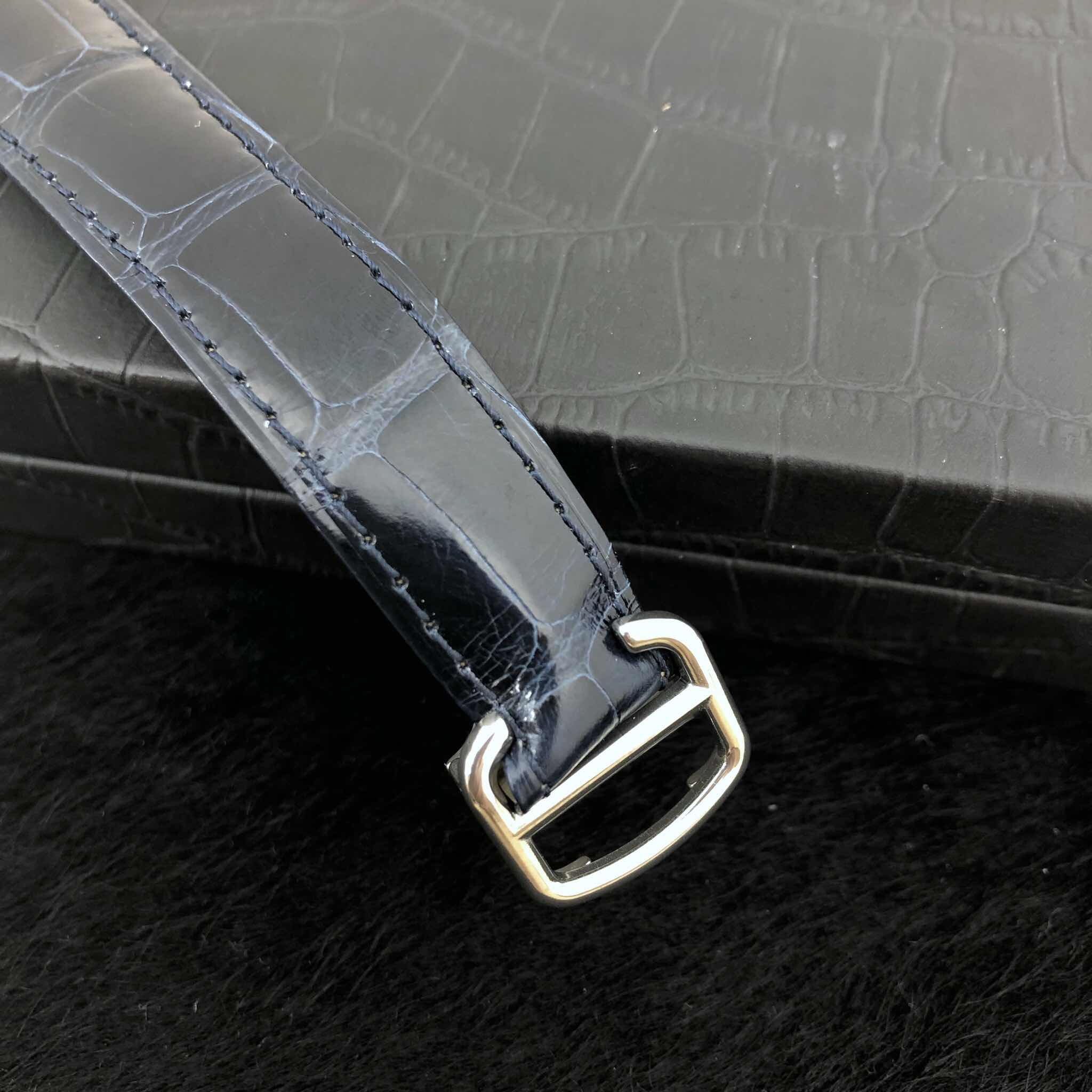 Cartier WSBB0020 8