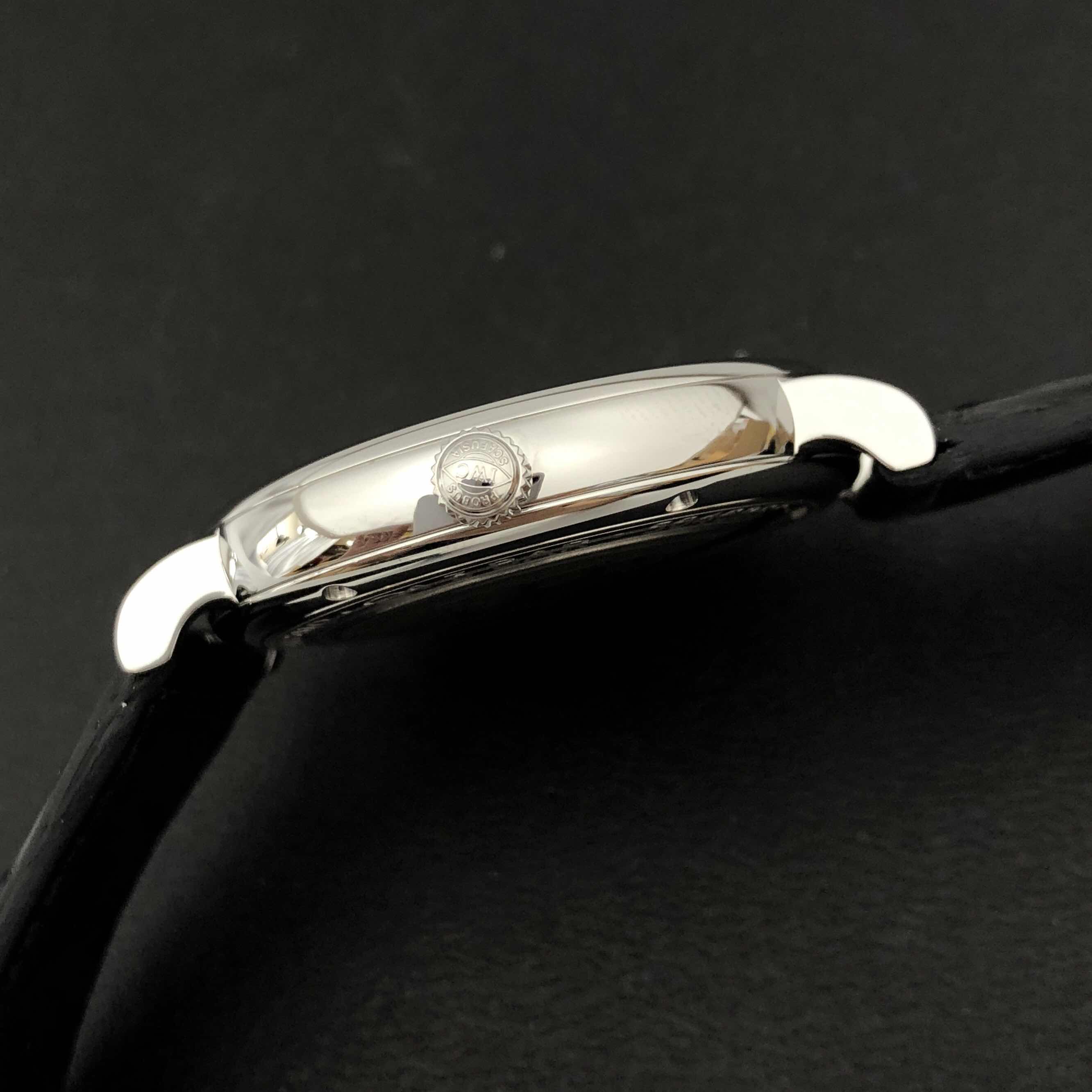 IWC IW356519 8