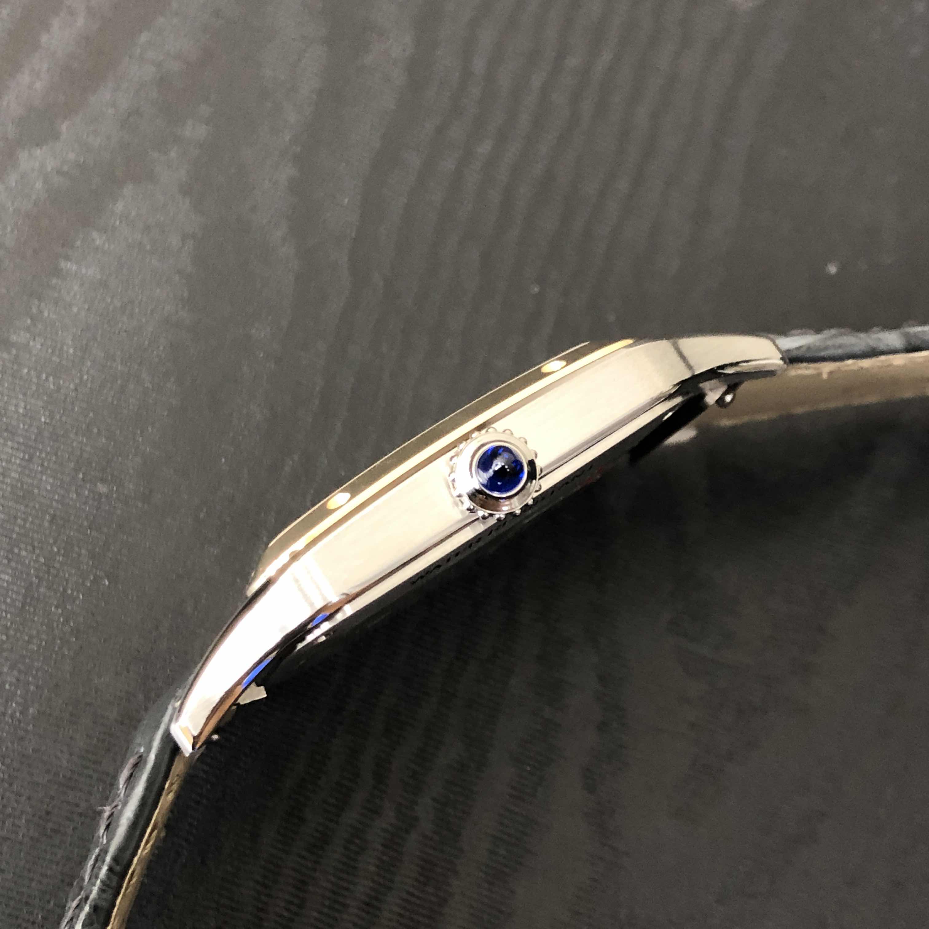 Cartier W2SA0015 8
