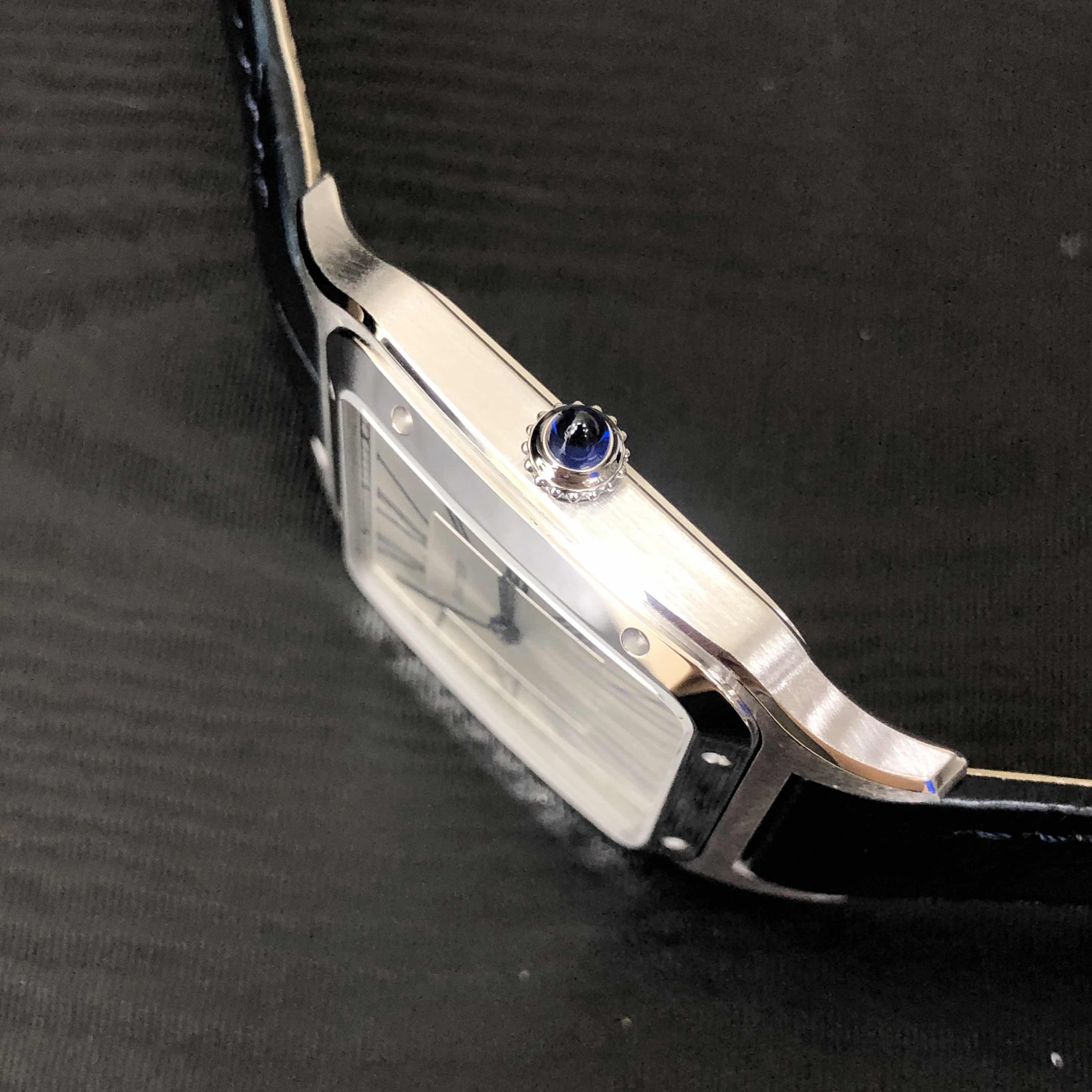 Cartier WSSA0032 8