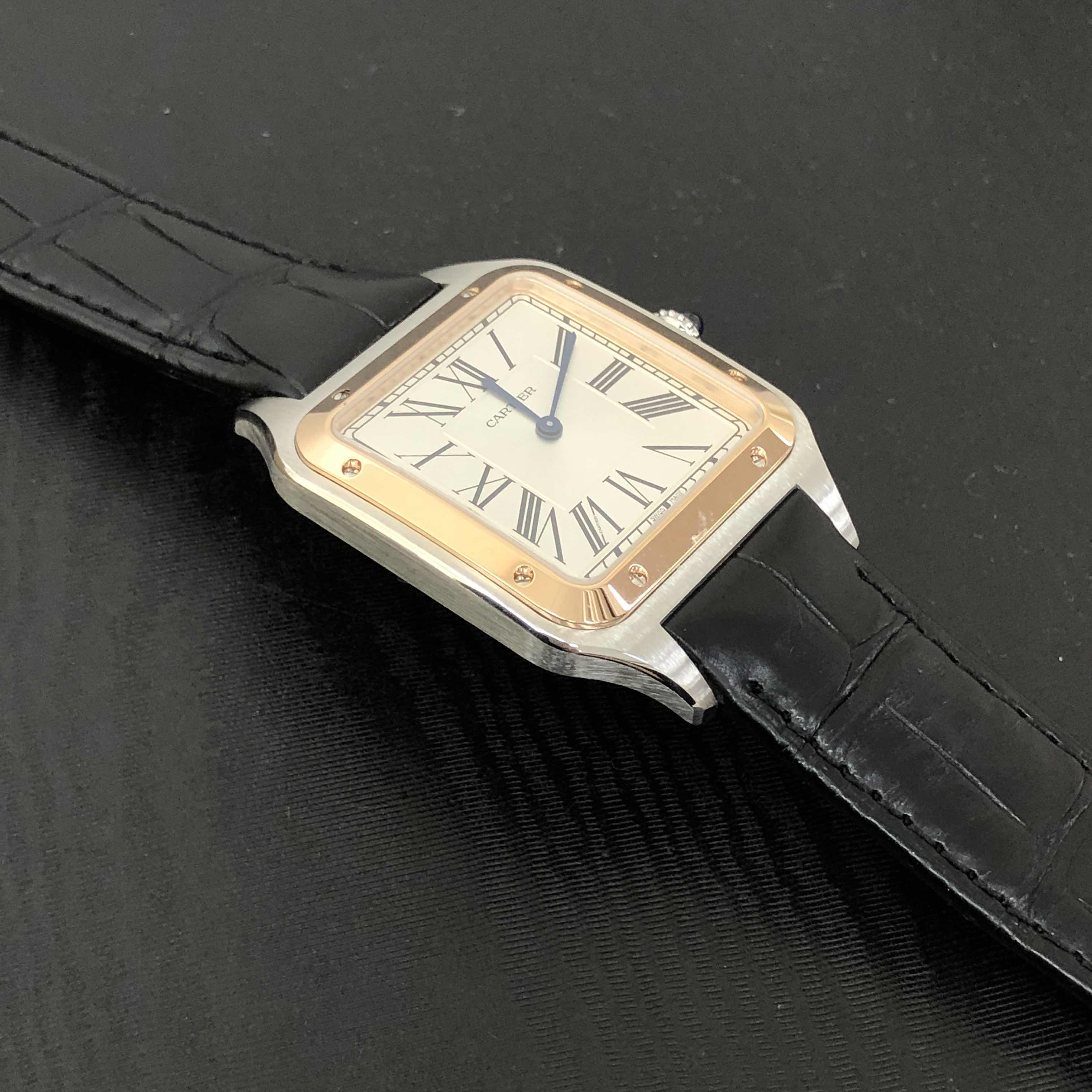 Cartier W2SA0017 8