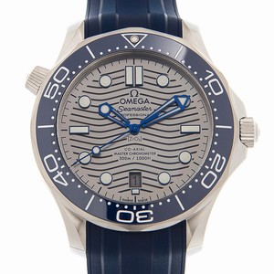Omega SEAMASTER 210.32.42.20.06.001 Automatic Stainless Steel Gray