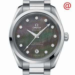 Omega SEAMASTER 220.10.38.20.57.001 Automatic Stainless Steel Gray