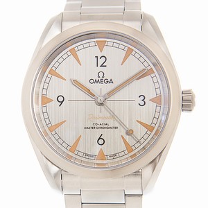 Omega RAILMASTER 220.10.40.20.06.001 Automatic Stainless Steel Gray