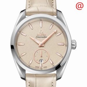Omega SEAMASTER 220.13.38.20.09.001 Automatic Stainless Steel Gray