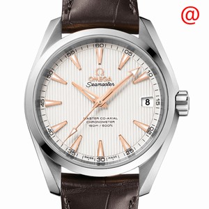 Omega SEAMASTER 231.13.39.21.02.003 Automatic Stainless Steel Silver