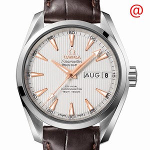 Omega SEAMASTER 231.13.39.22.02.001 Automatic Stainless Steel Silver