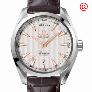 Omega SEAMASTER 231.13.42.22.02.001 Automatic Stainless Steel Silver