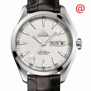 Omega SEAMASTER 231.13.43.22.02.001 Automatic Stainless Steel Silver