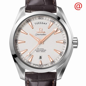Omega SEAMASTER 231.13.43.22.02.002 Automatic Stainless Steel Silver