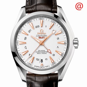 Omega SEAMASTER 231.13.43.22.02.004 Automatic Stainless Steel Silver