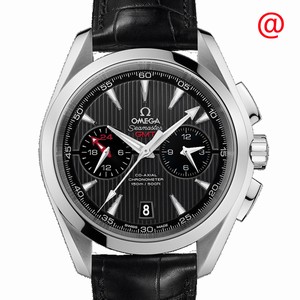 Omega SEAMASTER 231.13.43.52.06.001 Automatic Stainless Steel Gray