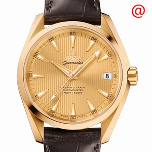 Omega SEAMASTER 231.53.39.21.08.001 Automatic 18kt Yellow Gold Gold