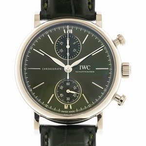 IWC PORTOFINO IW391405 Automatic Stainless Steel Green